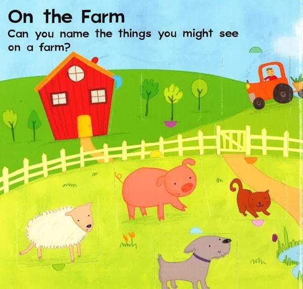 Lift-The-Flap Book - First Words