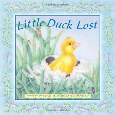 Little Duck Lost
