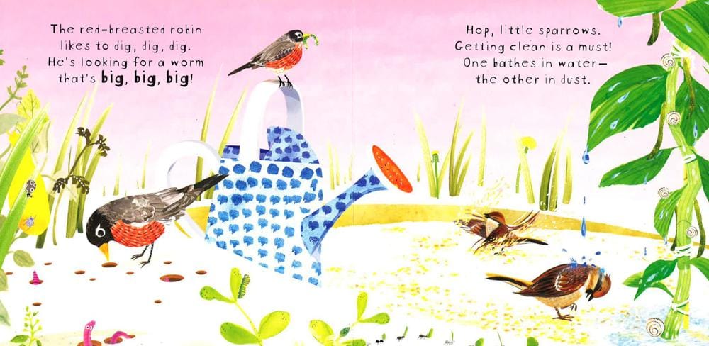 Look! Birds!