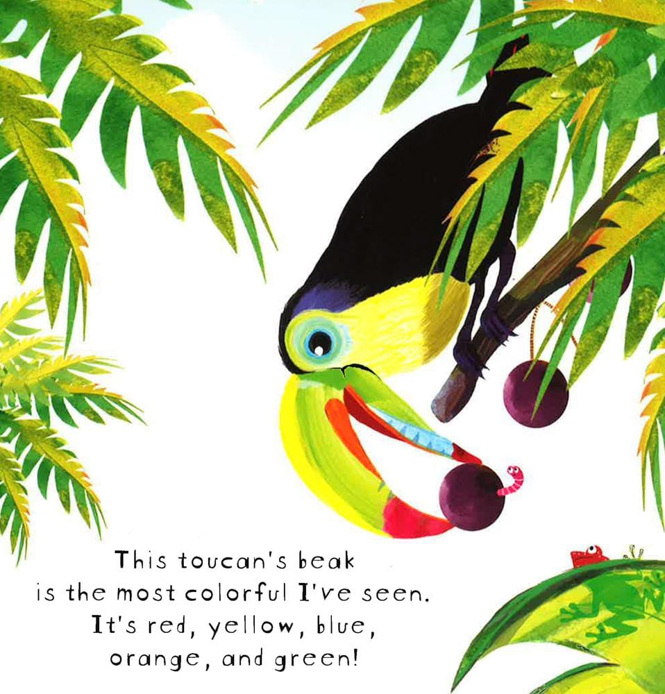 Look! Birds!