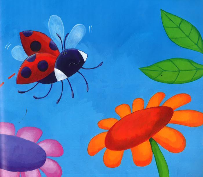 Look Out Ladybird!
