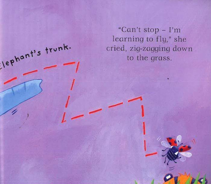 Look Out Ladybird!