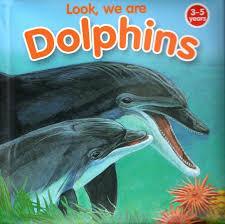 Look, We are Dolphins