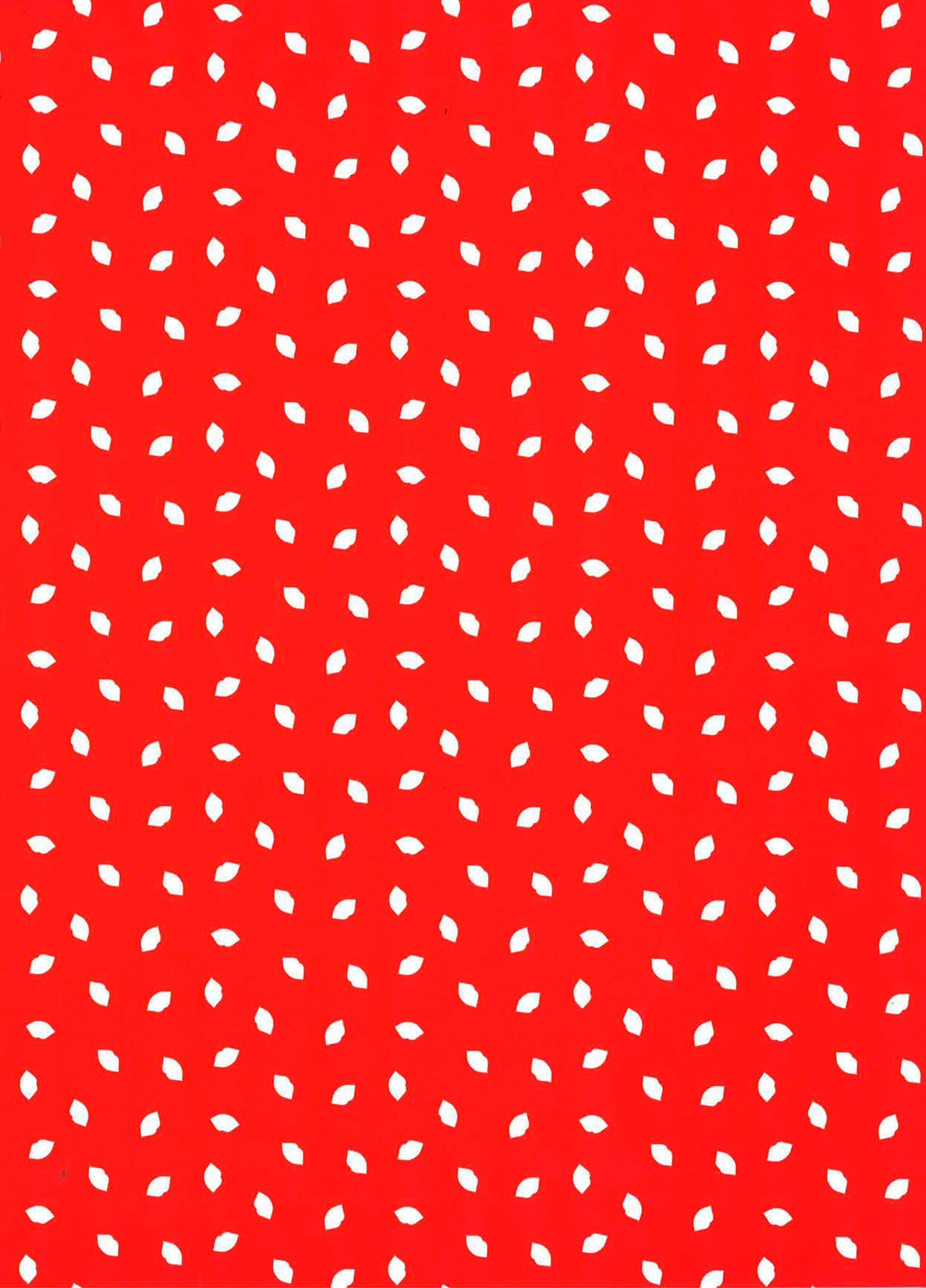 Lulu Guinness Gift Wrap