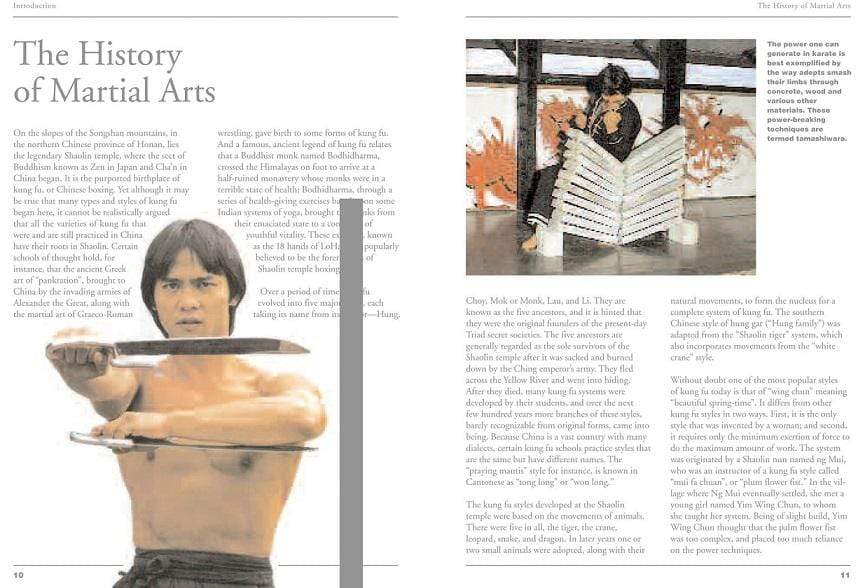 Martial Arts Made Easy