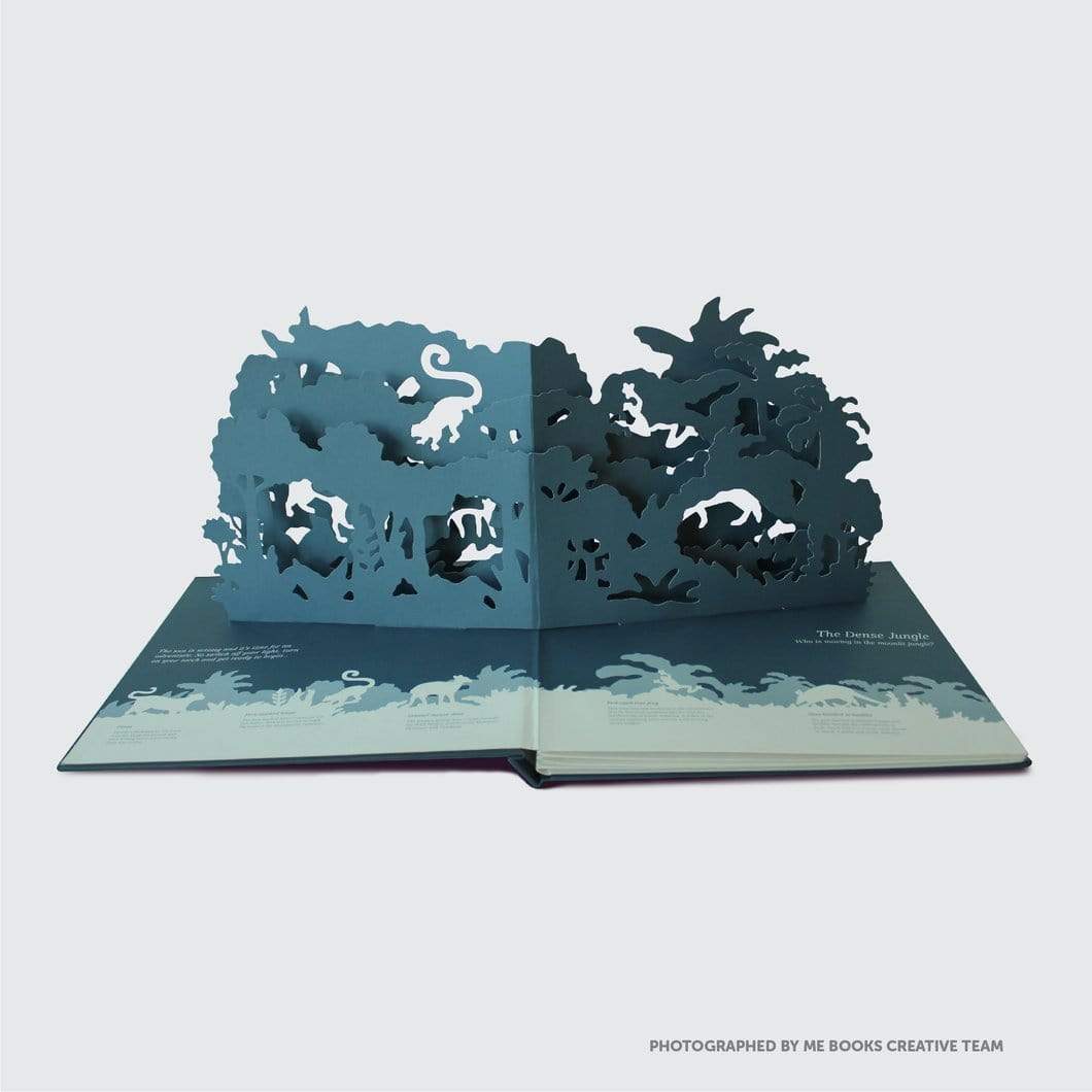 Midnight Creatures: A Pop-up Shadow Search