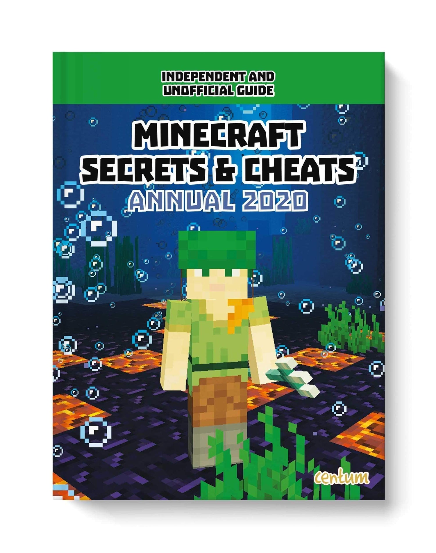 Minecraft Annual 2020