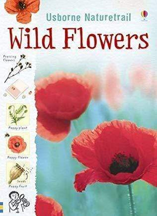 Nature Trail Wild Flowers