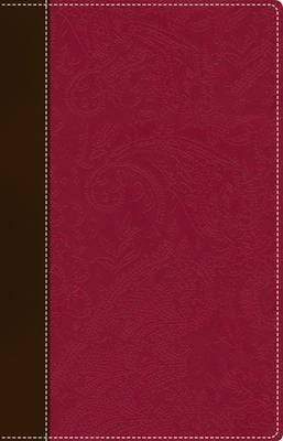 NIV Bible for Women