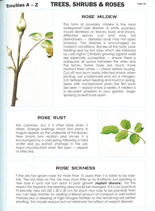 Pest And Weed Expert: The World's Best-Selling Book On Pests And Weeds