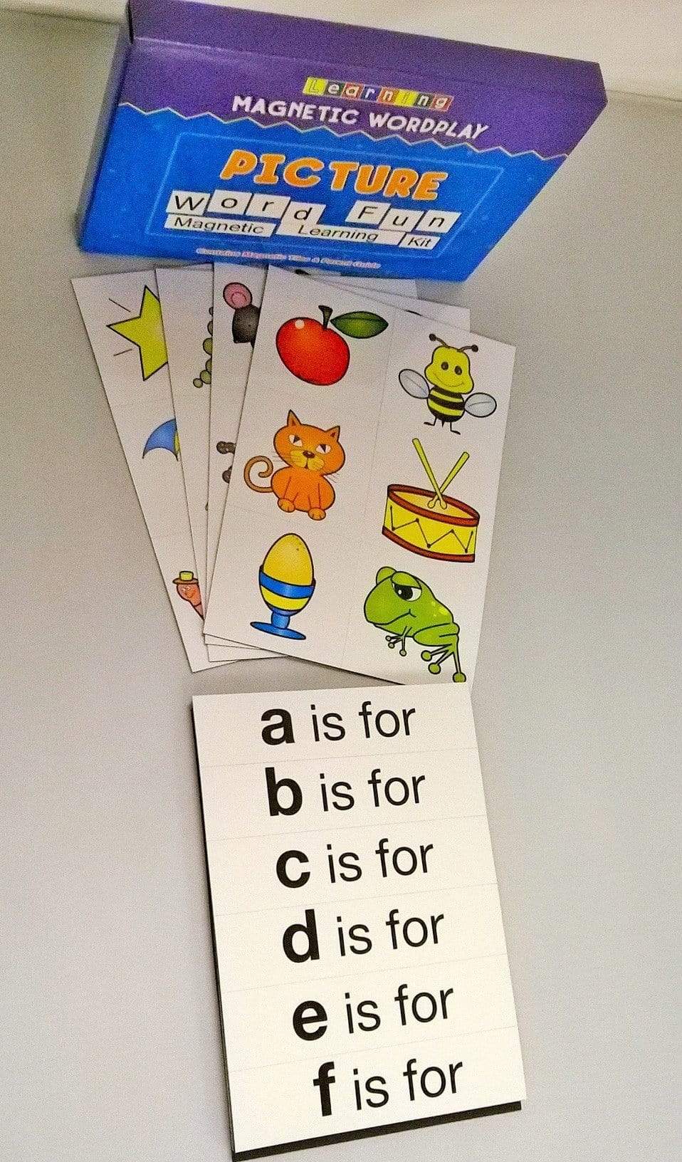 Picture World Fun: Magnetic Learning Kit