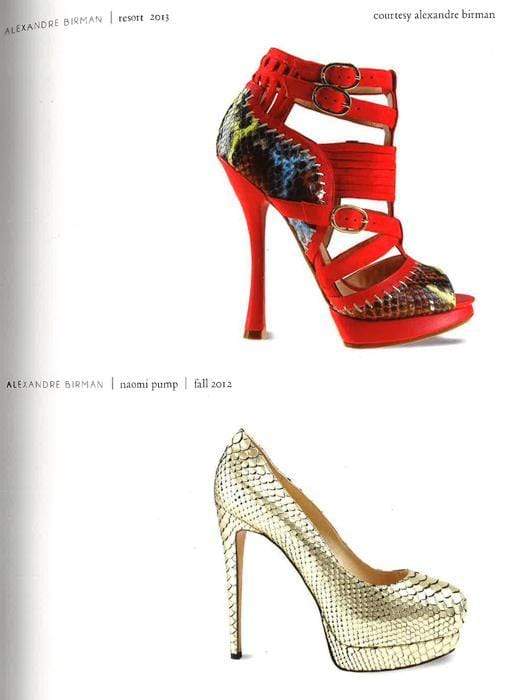 Shoe Obsession