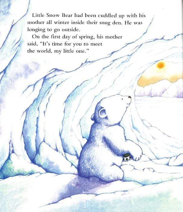 Snow Bear