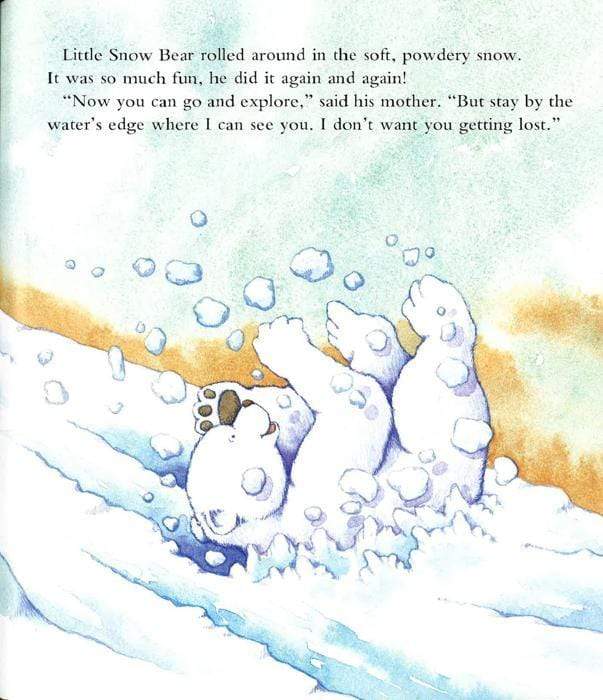 Snow Bear