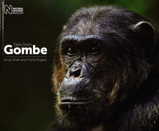 Tales From Gombe