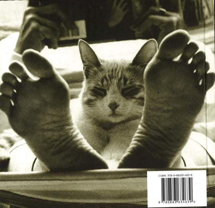 The Big Book Of Cat