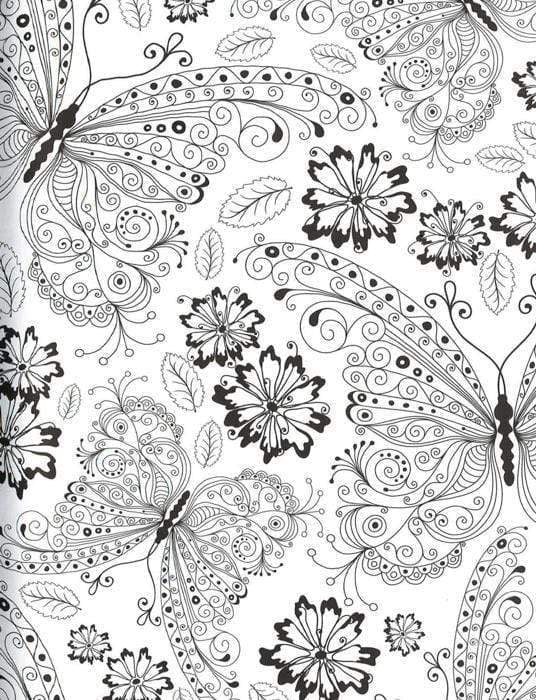 The Butterflies Colouring Book