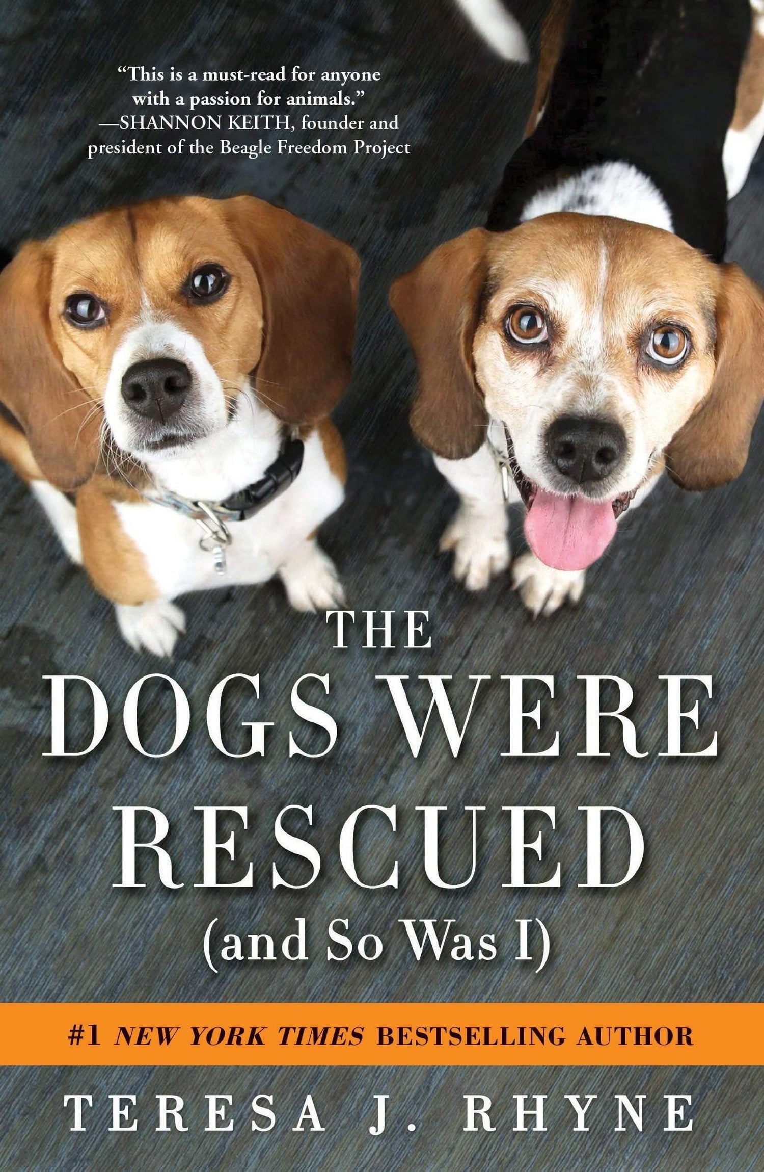 The Dogs were Rescued (and So Was I)