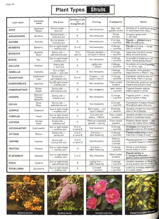 The Garden Expert