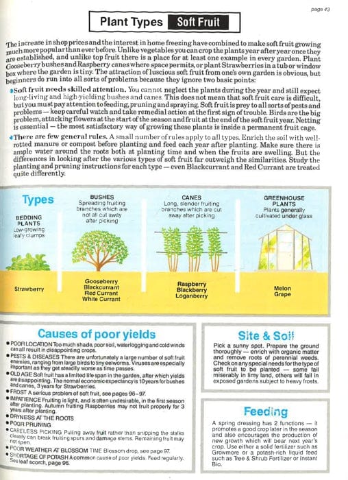 The Garden Expert