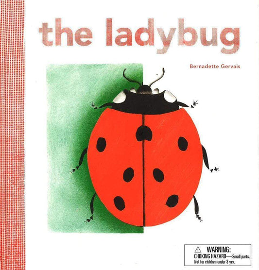 The Ladybug