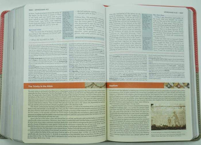 The Nkjv Study Bible, Personal Size, Leathersoft, Brown, Red Letter, Full-Color Edition: Full-Color Edition