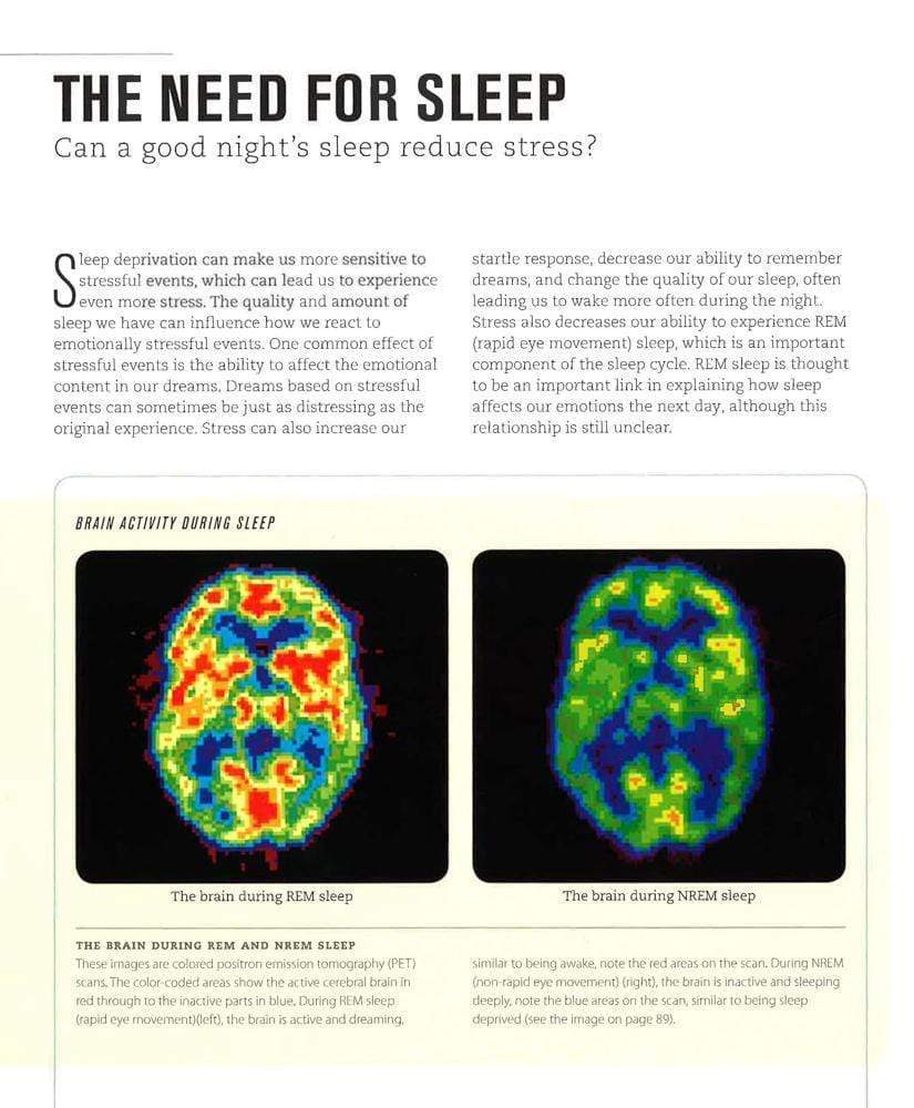 The Science Of Stress: What It Is, Why We Feel It, How It Affects Us