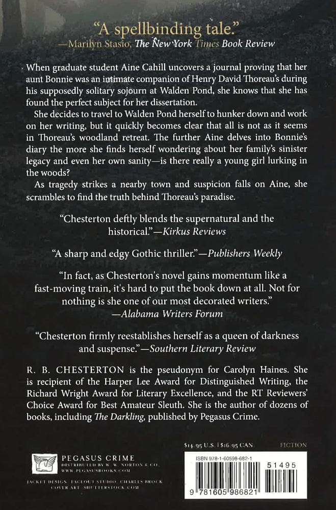 The Seeker: A Novel