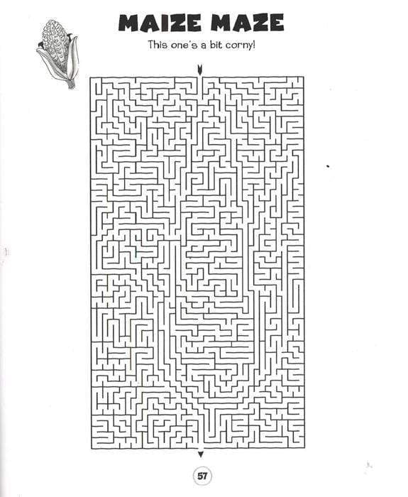 The Totally Brilliant Amazing Mazes Book