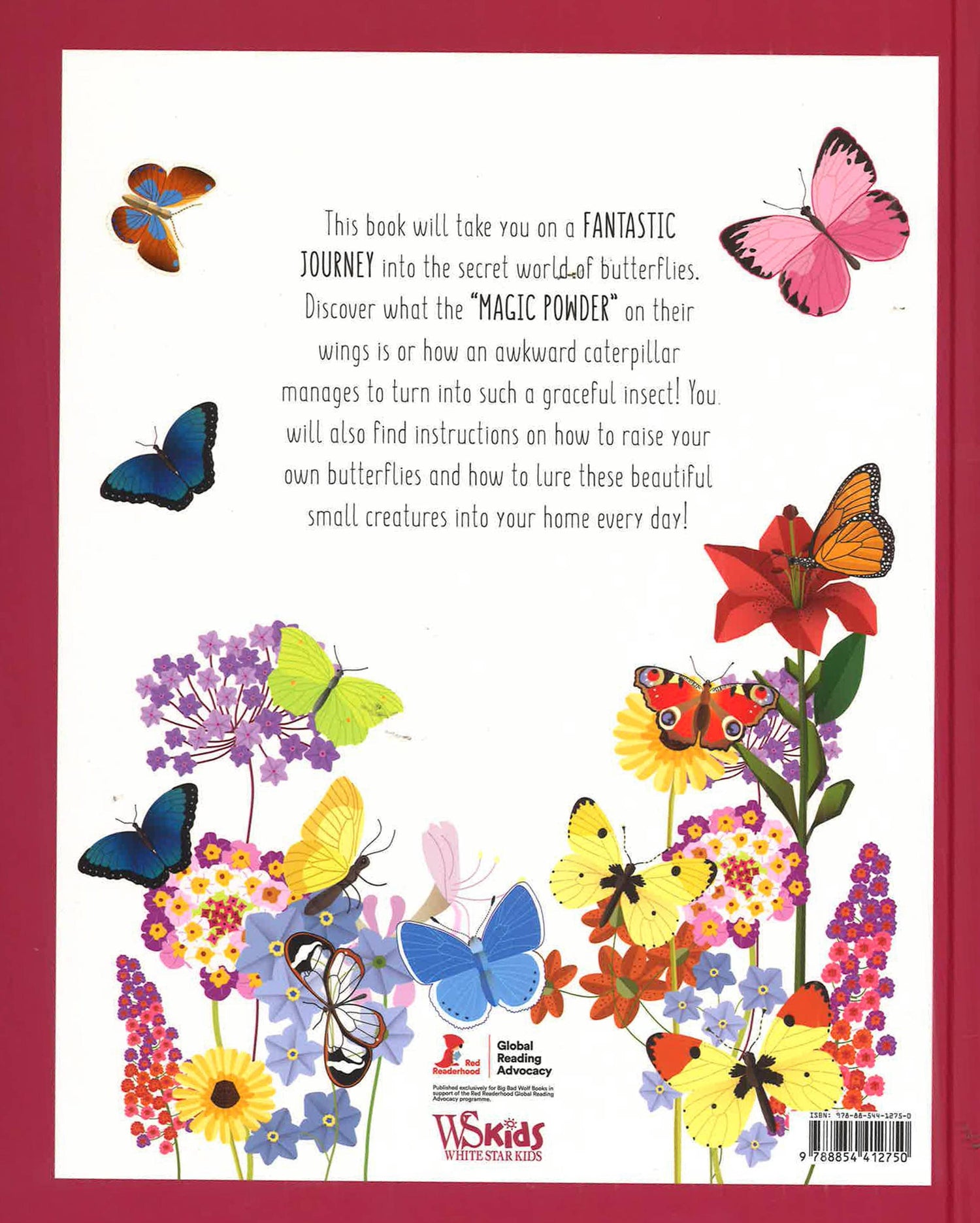 The World Of Butterflies