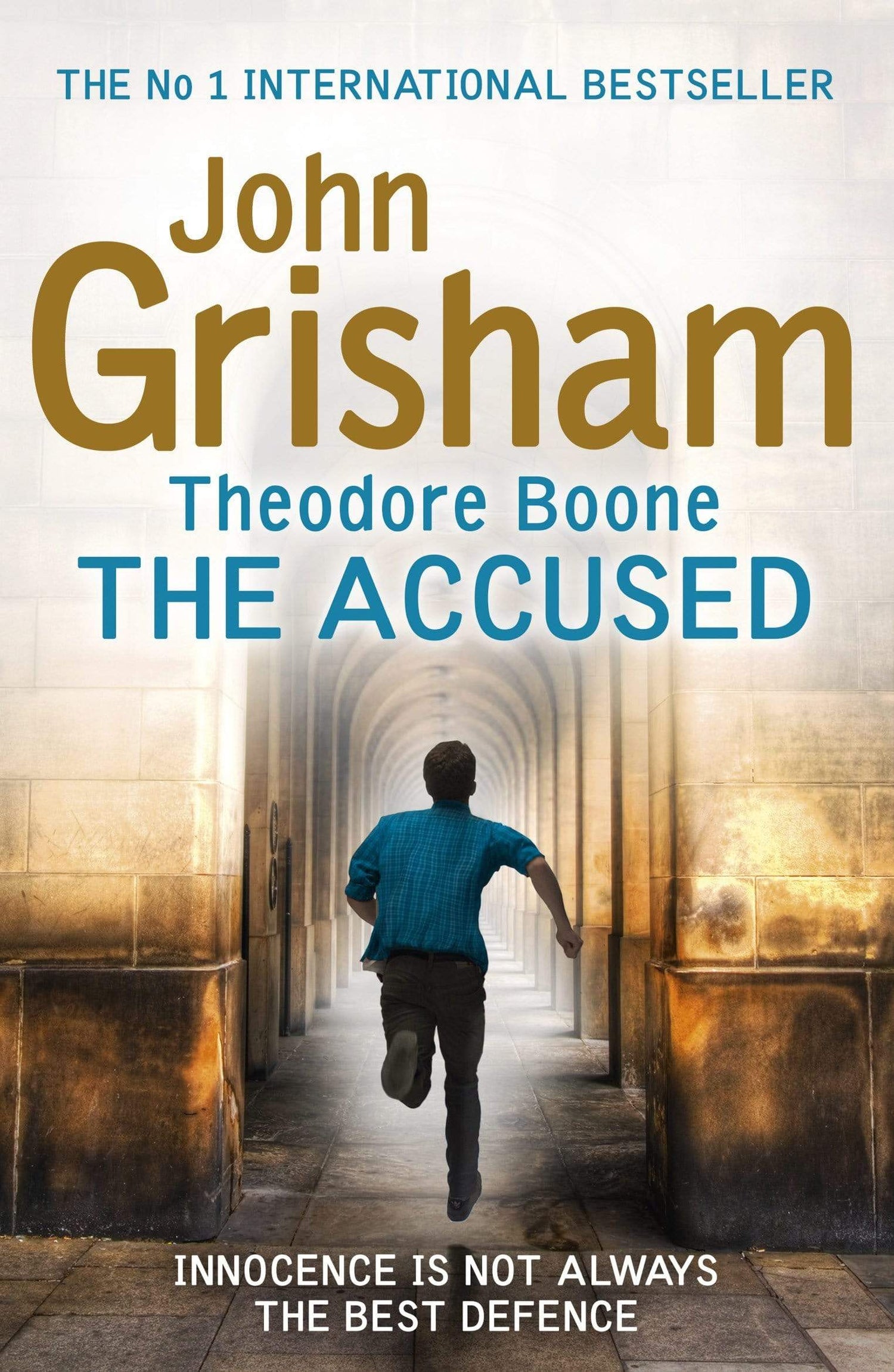 Theodore Boone The Accused