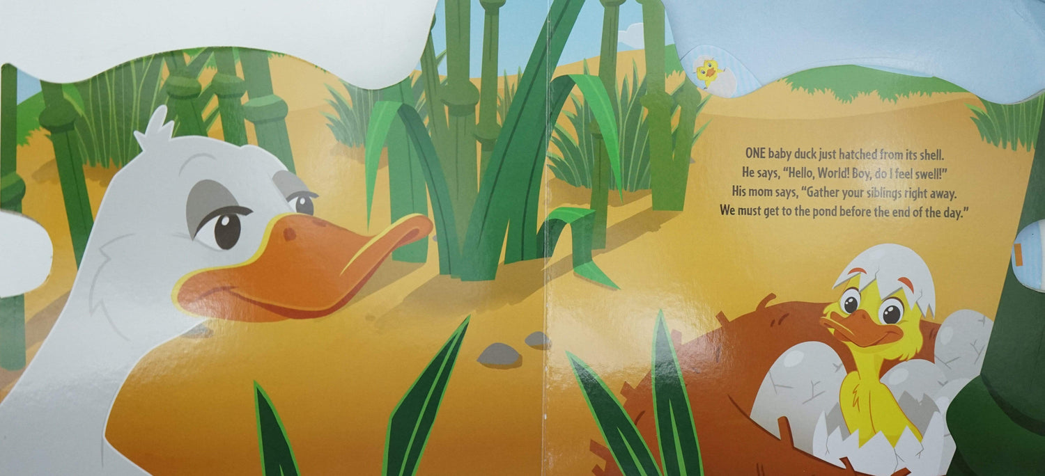 Trip To The Pond