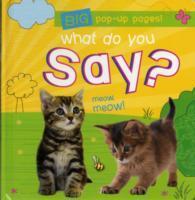 What Do You Say?