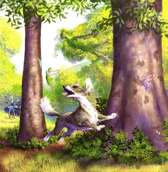 Where's The Fairy?