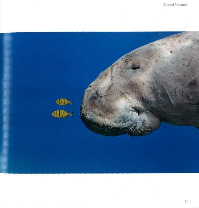 Wildlife Photographer Of The Year Portfolio 23 (Mti)
