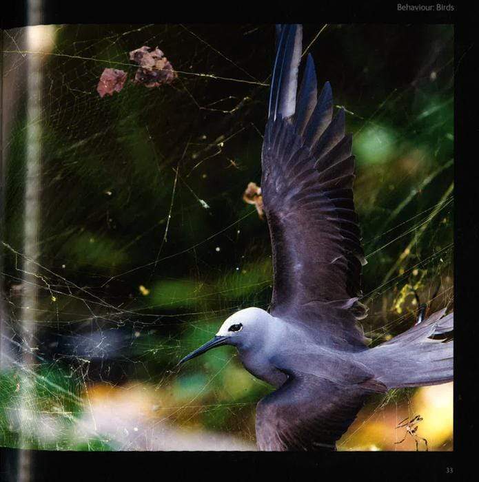 Wildlife Photographer Of The Year Portfolio 23 (Mti)
