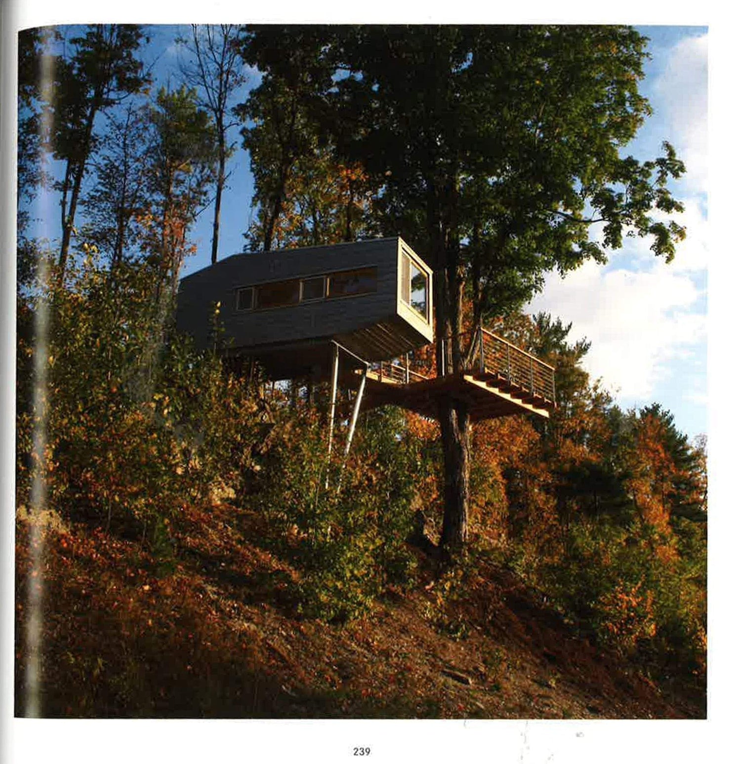 Wood Houses